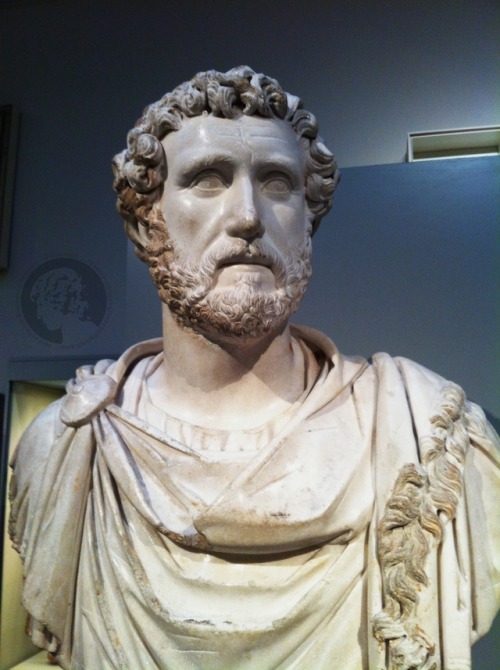 Antoninus pius | Tumblr