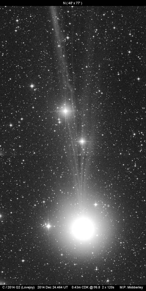 Comet Lovejoy Photo By Martin Mobberley Taken On Exploring Space