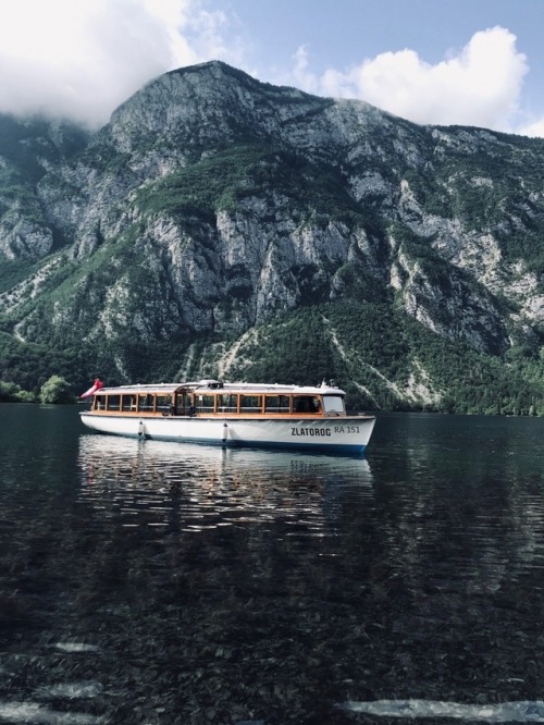 trustre:bohinjsko jezero, Slovenia | more