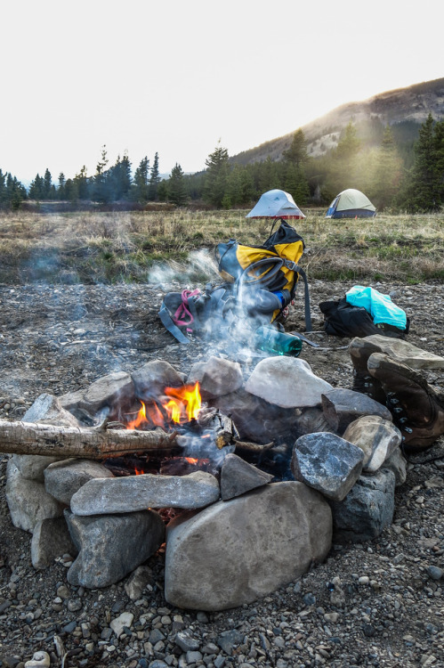 loyal-as-a-dog:Living the camping life.