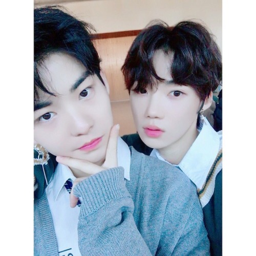 sebongteen-trash:sebongteen-trash:ur hwall...