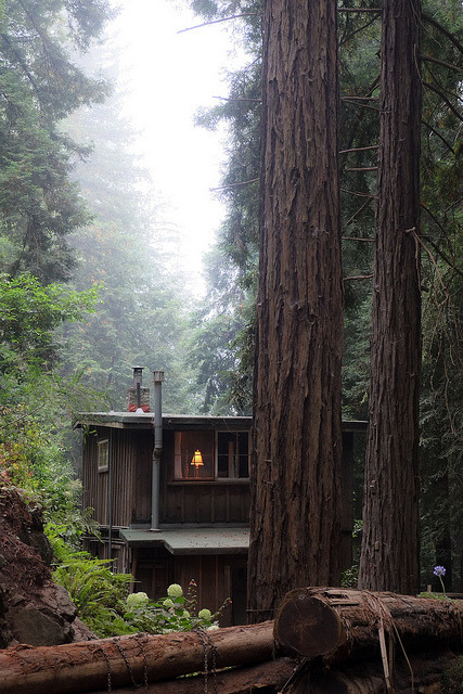 homeintheforest:2013_08_19_cal_002 by mitch98000 on Flickr.