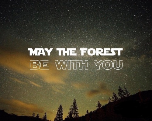 #ForestFridayMay the forest be with you 