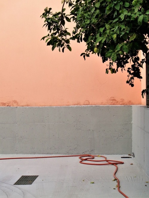 Theatro dromou Urban landscape Backyard Lemon tree Water hose Pink Grey Greece photographers on tumblr original photography blog Henri Coudoux Photography