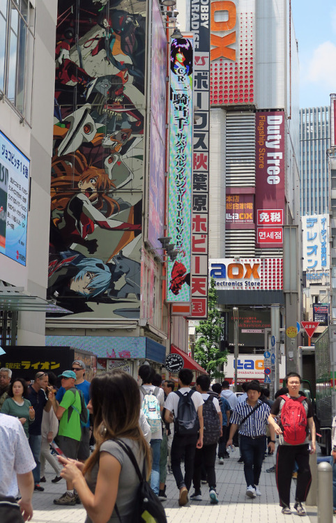 ninetail-fox:a street ,Akihabara