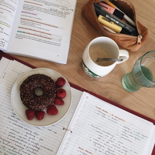 linceestudies: ☕️ Some dutch literature notes from last semester...