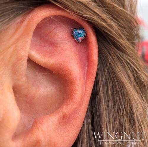 wingnuttattoo:So cute & perfect for her! Fresh helix from...