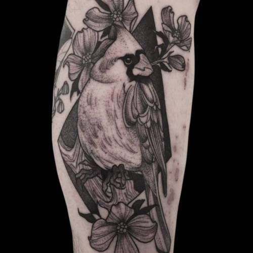 By Barham Williams, done at Fable Tattoo Gallery, Richmond.... barhamwilliams;calf;big;cardinal;animal;bird;facebook;blackwork;twitter;illustrative