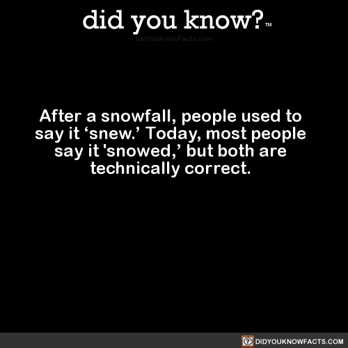 after-a-snowfall-people-used-to-say-it-snew
