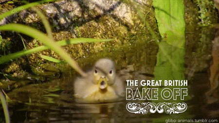 gbbo animals gbbo great british bake off bake off 2018 ducklings cute