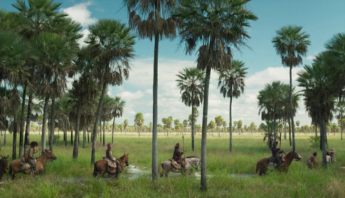 365filmsbyauroranocte:Zama (Lucrecia Martel, 2017)