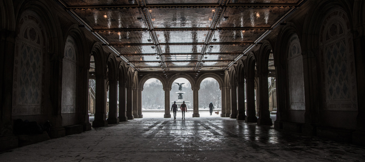 A walk through Central Park on a snowy morning A... | Yahoo News Photos