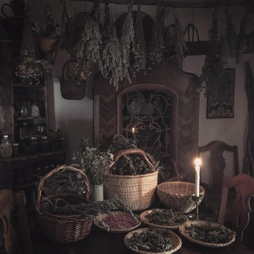 Witch Interior Tumblr