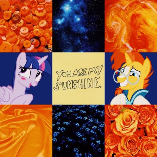 ponysource:twiburst moodboard!