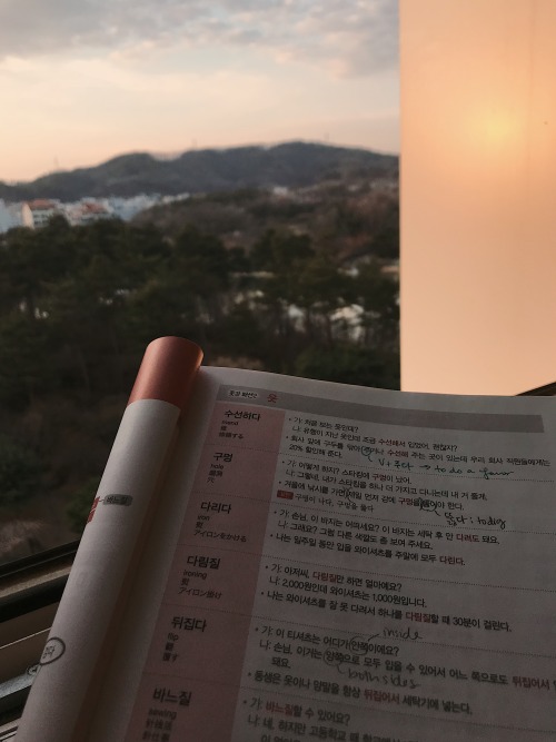 studythenight-away