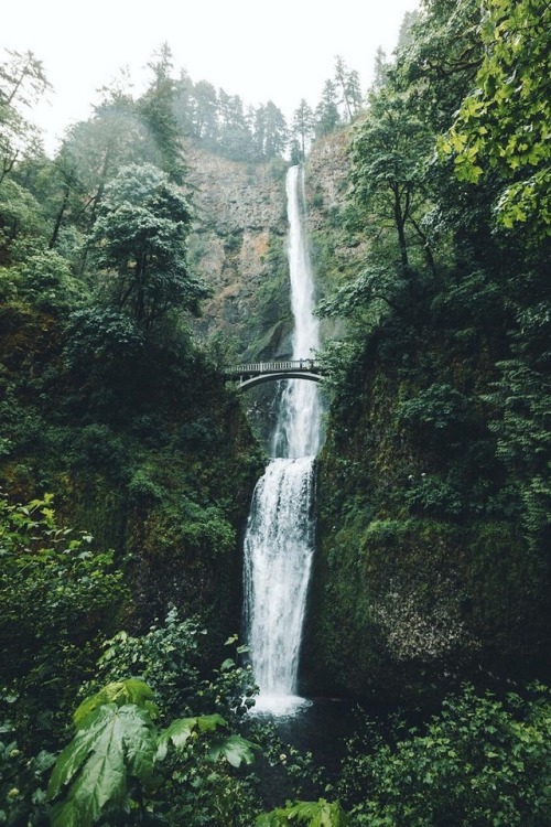 alecsgrg:Secret waterfalls | ( by Niklas )