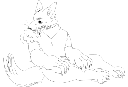 kinqofthefall:More that trans werewolf but he’s an urban coyote...