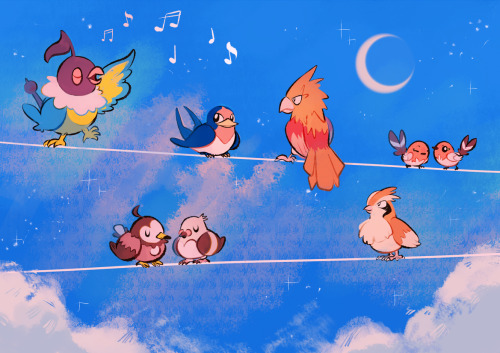 ieafy:I forgot to upload this drawing of Pokebirds i did a...