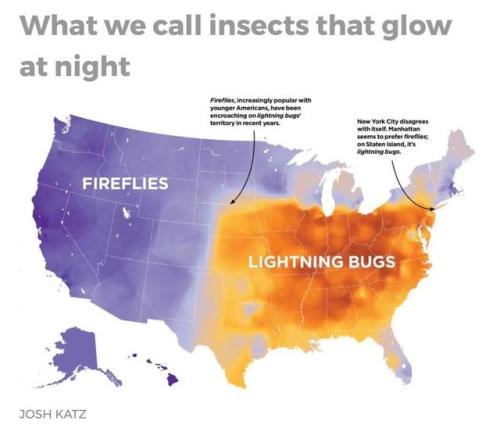 map maps language firefly lightning bug cartography geography linguistics dialect United States