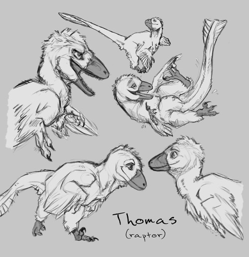 theprehistoricrealm:Just a few quick expression studies of my...