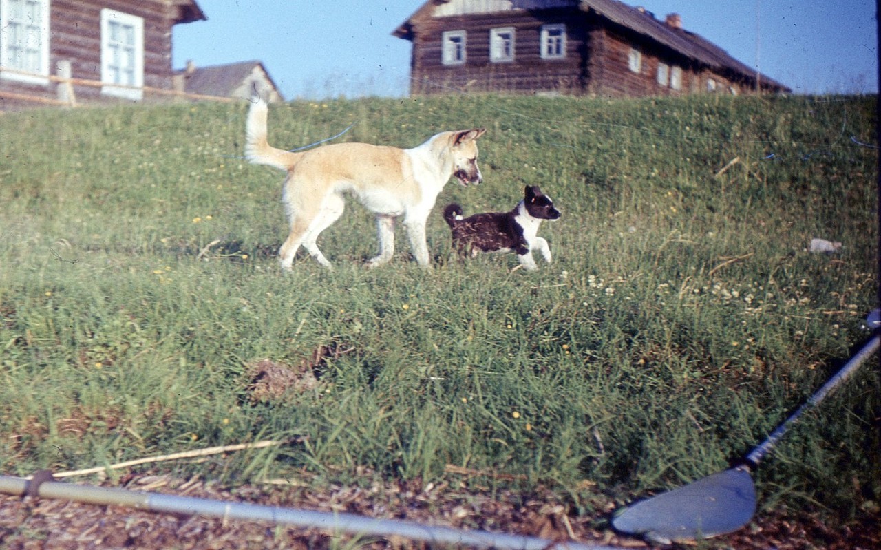 Vershinino village in Arkhangelsk region of Russia (1980)