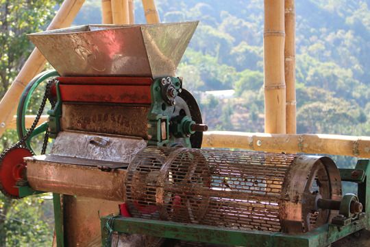 Specialty coffee depulper at Eduardo Lizcano's Farm in Colombia