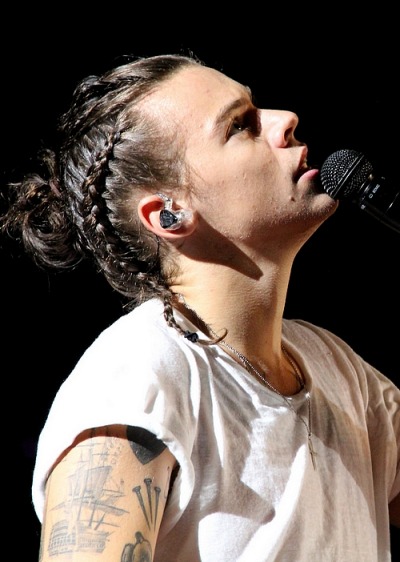 harry styles braids