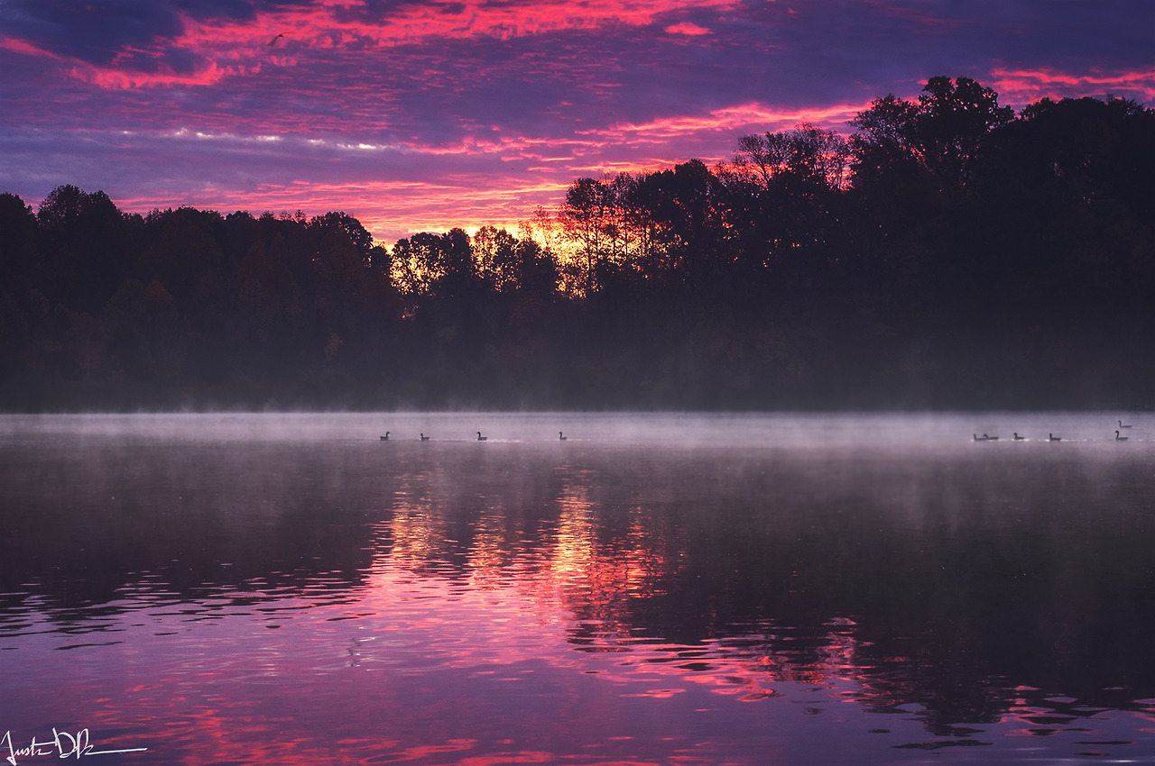 Розовый рассвет. Туманное озеро. Вечернее озеро Эстетика. Розовый закат на реке.