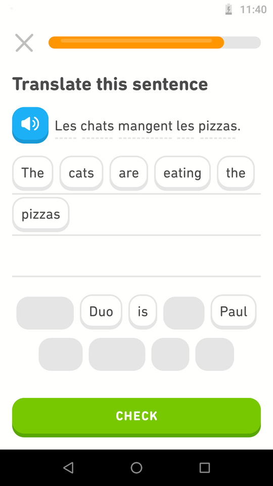 Only Useful Phrases — Can cats even eat pizza???