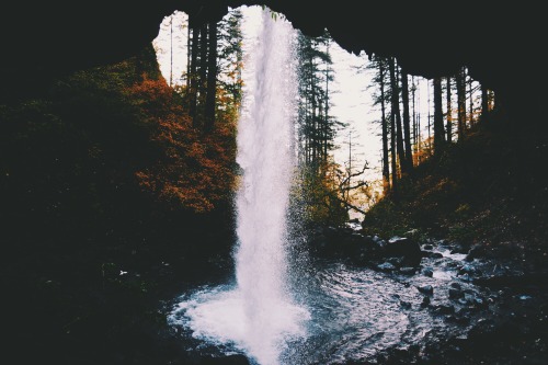 hannahkemp:Behind the Falls//Oregon November 2015