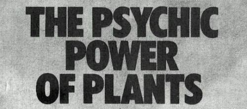 Aesthetic: I am an activist with a peaceful presence. I will...