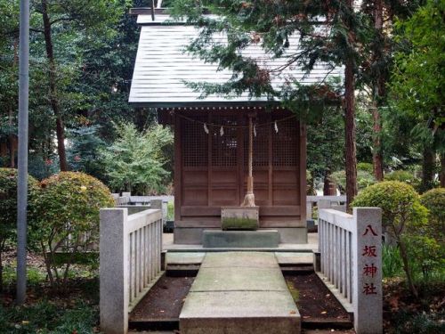 namimushisrn:下鶴間諏訪神社（2017/11/15） ...