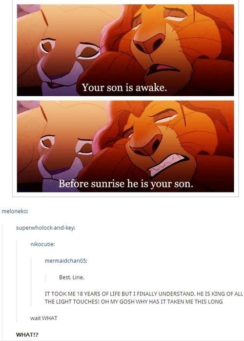 itsstuckyinmyhead:The Lion King and Tumblr