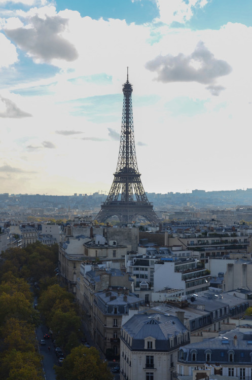 breathtakingdestinations:Paris - France (by pixelposeur) 