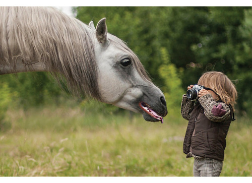 horse with dog mouth | Tumblr