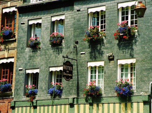 floralls:Normandy, Franceby  Rick Ligthelm