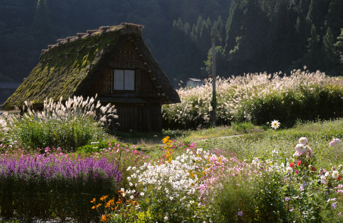 legendary-scholar:Historic Villages of Shirakawa.