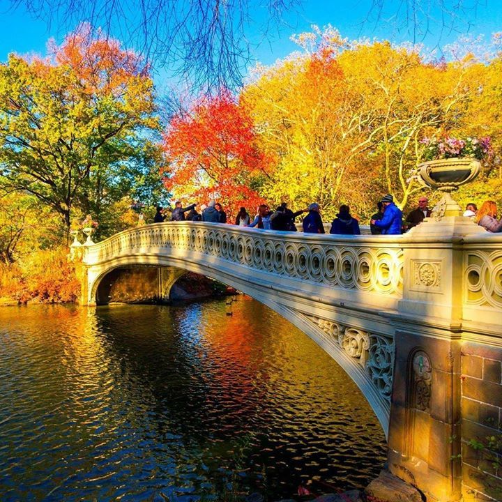 Bow Bridge, Central Park 📷 @rafaelviloria