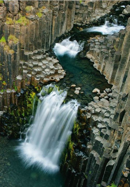 birdsofrhiannon:The Giant’s Causeway 