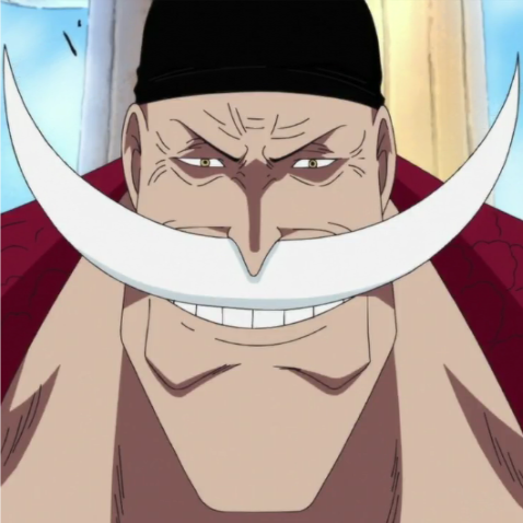 White Beard Ace One Piece Porn - white beard | Tumblr