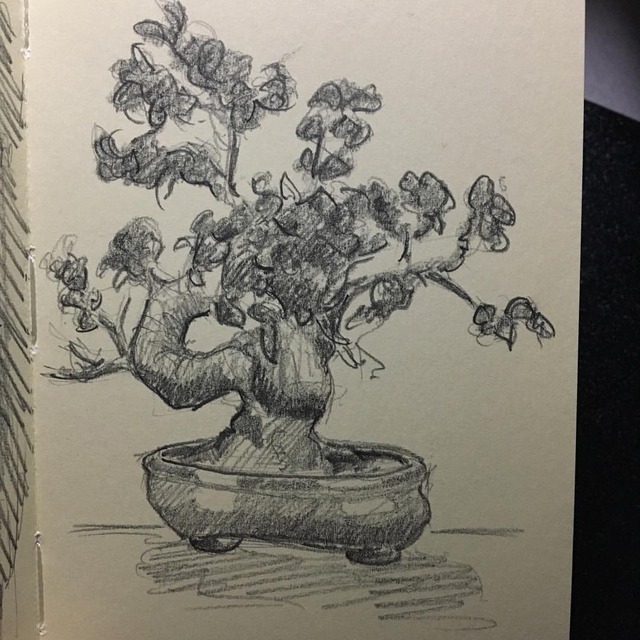 Chris Ondyak — Work sketch: bonsai tree 🌲 #bonsai #tree #sketch...