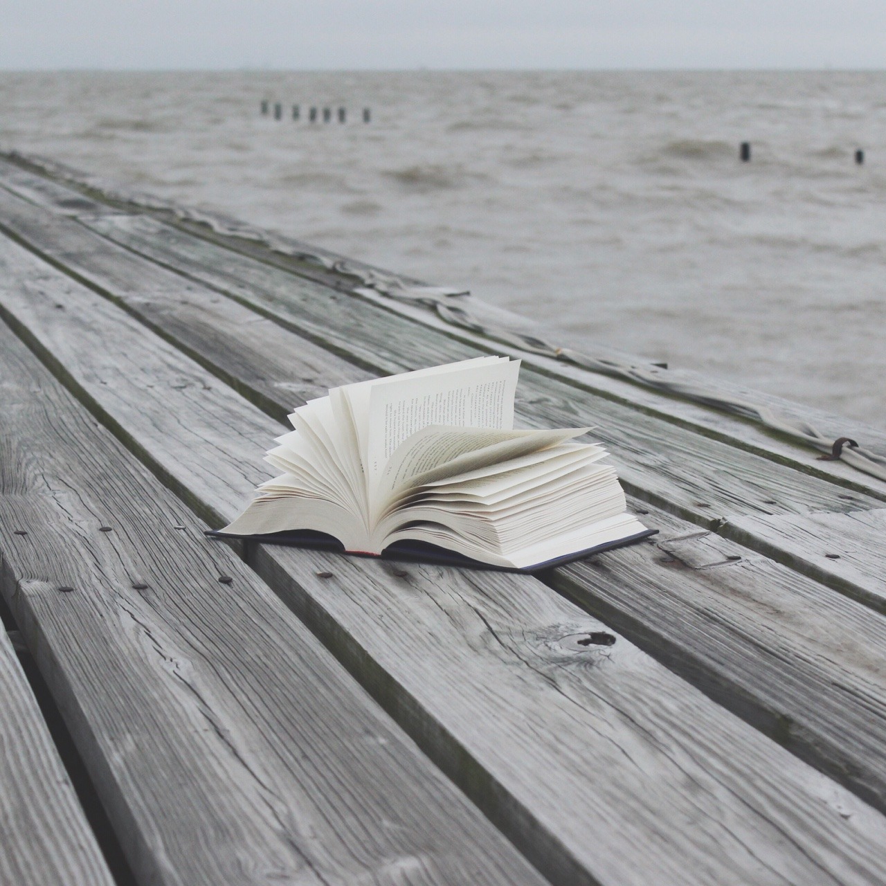 Книга на берегу моря