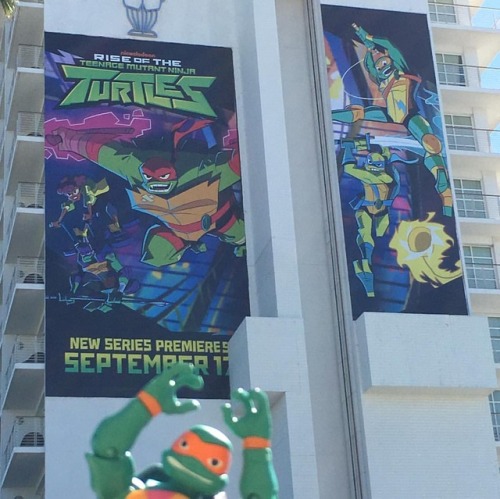 Next stop on our LA #riseoftheteenagemutantninjaturtles...