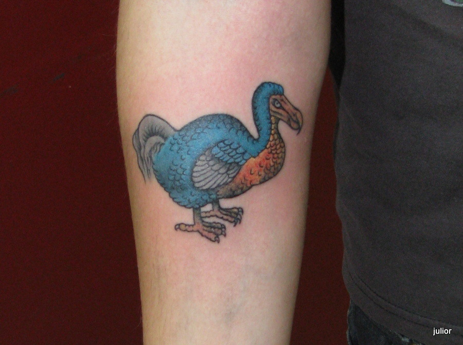 dodo bird tattoo