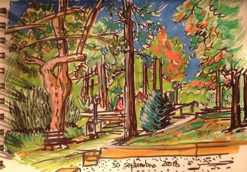 Parc villeboeuf (à Saint-Étienne)