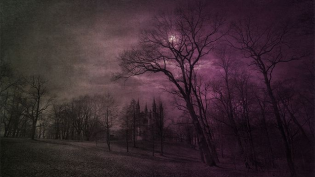 background image tumblr_static_tumblr_static_1dnio1l5wmskwkwsc8kwgokow_640.gif