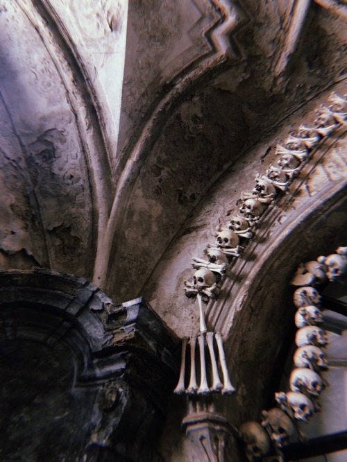 ghoulshavemorefun:Sedlec ossuary, Prague.