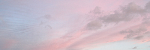 Pink Header Tumblr