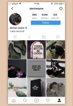 Instagram Profile Aesthetic Tumblr