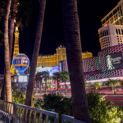 lasvegas:Bright lights and Vegas nights✨